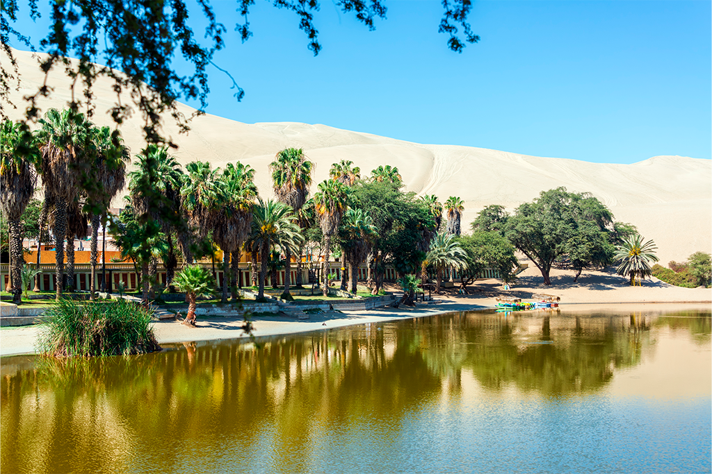 Oasis Huacachina